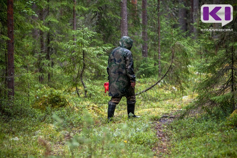 Летом в Коми ежедневно теряются по 4-5 человек