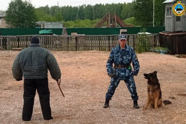 В УФСИН по Коми выбрали лучших специалистов-кинологов