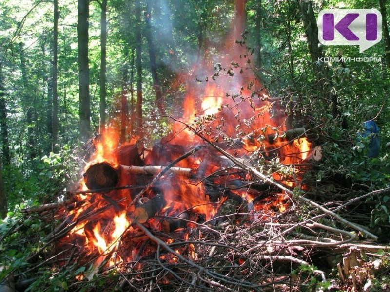 В Ижемском районе парашютно-пожарные команды ликвидируют лесной пожар 