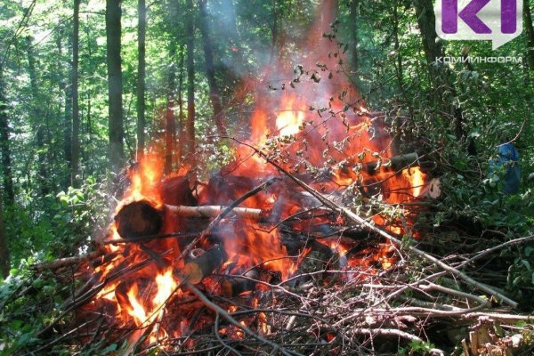 В двух районах Коми ожидается установление чрезвычайной пожароопасности