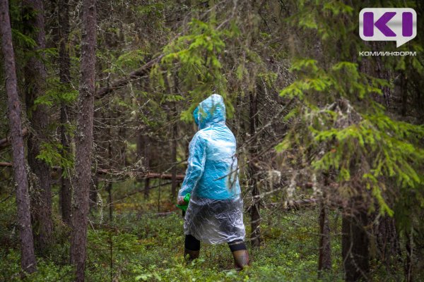 В Ухте в лесу потерялась женщина 