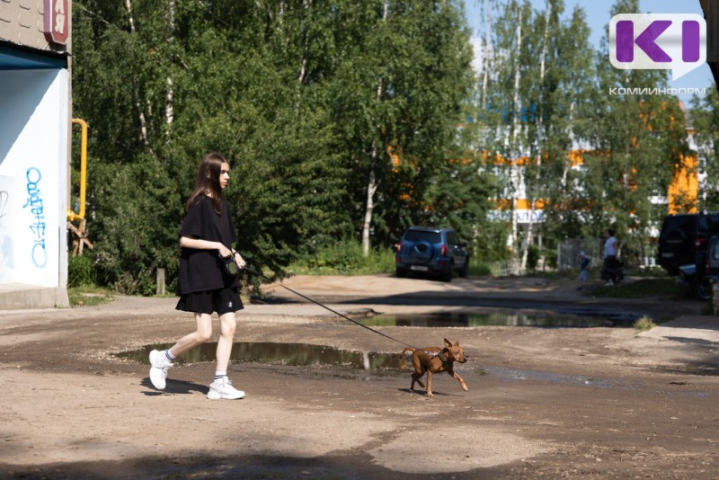 В Троицко-Печорске ребенку выплатят компенсацию за упавший на голову кусок цемента