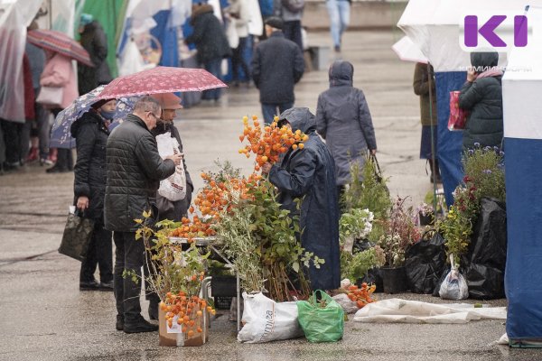 Погода в Коми 21 августа: небольшой дождь и +14°С