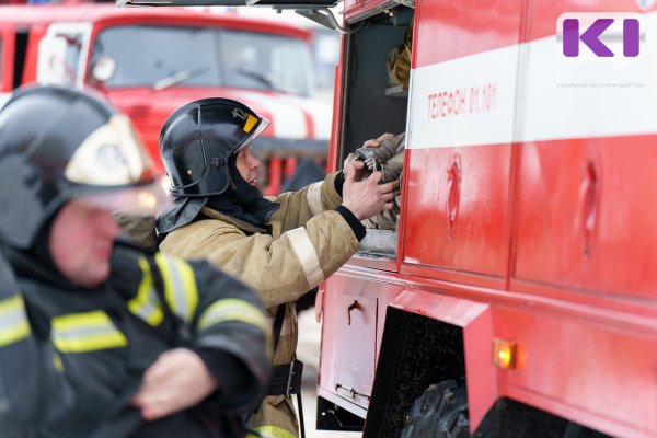 В селе Палевицы на пожаре погиб пенсионер