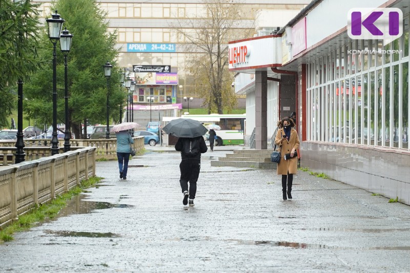 Погода в Коми 23 августа: дождь, местами гроза, +11...+13°С