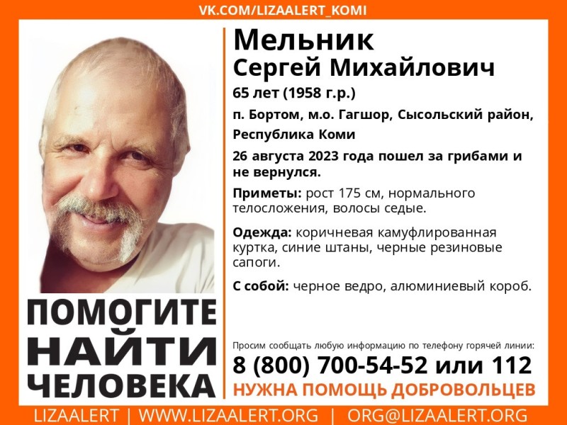 В Сысольском районе идет сбор добровольцев для поисков пропавшего 65-летнего грибника