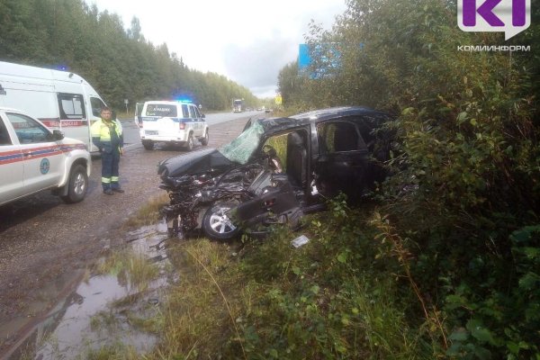 Под Выльгортом в ДТП с большегрузом пострадали две женщины и годовалый ребенок