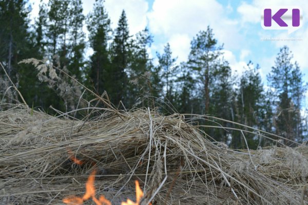 В четырех районах Коми с 10 сентября ожидается чрезвычайная пожароопасность