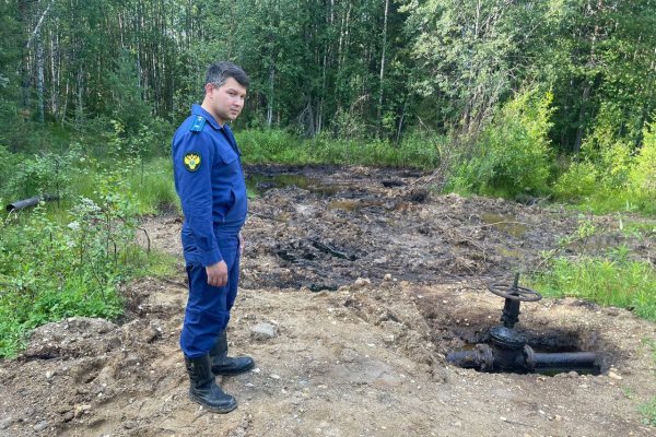 В Троицко-Печорском районе возбуждено уголовное дело по фактам загрязнения почв из-за сокрытых нефтеразливов

