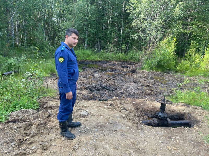 В Троицко-Печорском районе возбуждено уголовное дело по фактам загрязнения почв из-за сокрытых нефтеразливов

