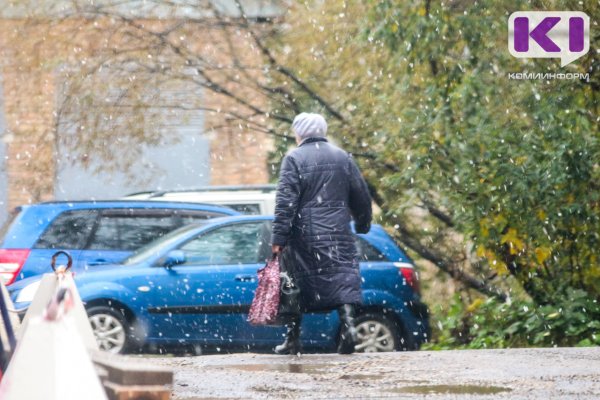 Погода в Коми 1 октября: в южных районах небольшой дождь, в северных - дождь со снегом