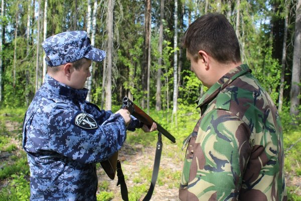 Житель Коми на охоте по неосторожности выстрелил в своего товарища