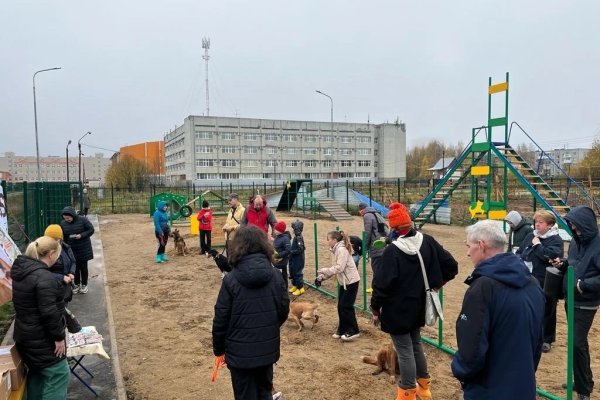 В Сыктывкаре появилась новая площадка для выгула собак