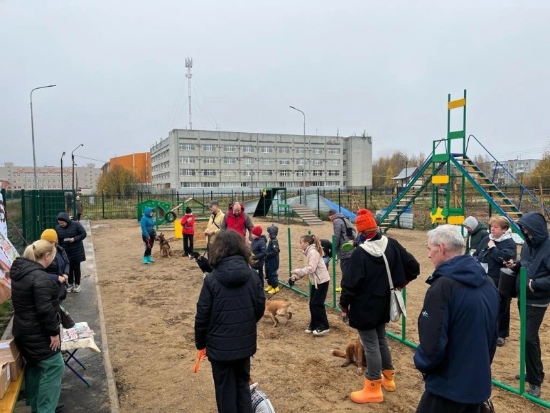 В Сыктывкаре появилась новая площадка для выгула собак