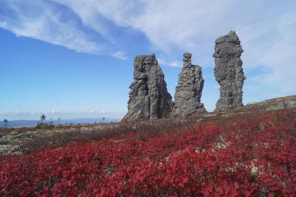 Гости стенда Коми на выставке 