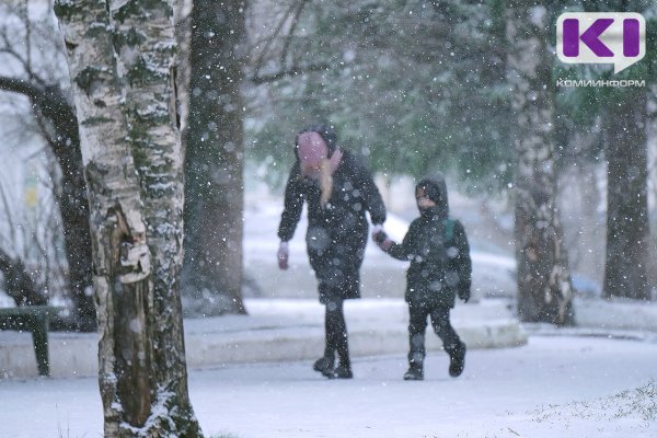 Погода в Коми 2 ноября: мокрый снег, гололед, -4...-6 °C