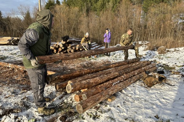 Волонтеры Сыктывкара помогают строить новый приют для бездомных животных 