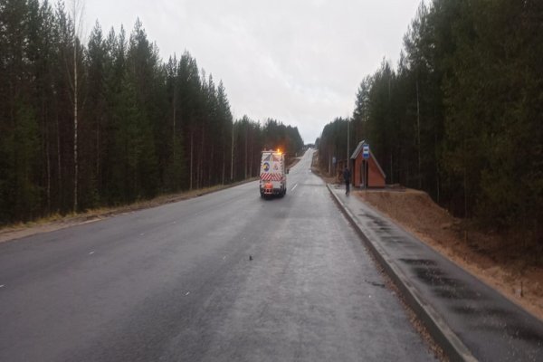 В Коми близится к завершению дорожная кампания

