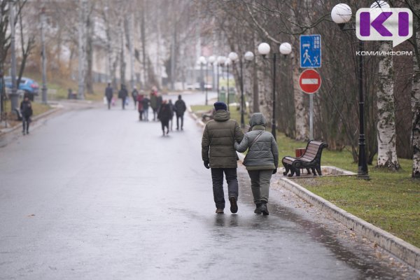 Погода в Коми 9 ноября: умеренные осадки и +2°С