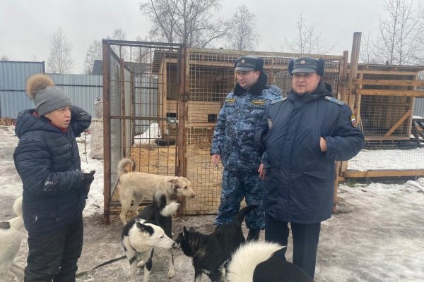 Приставы Сосногорска оказали помощь приюту для животных

