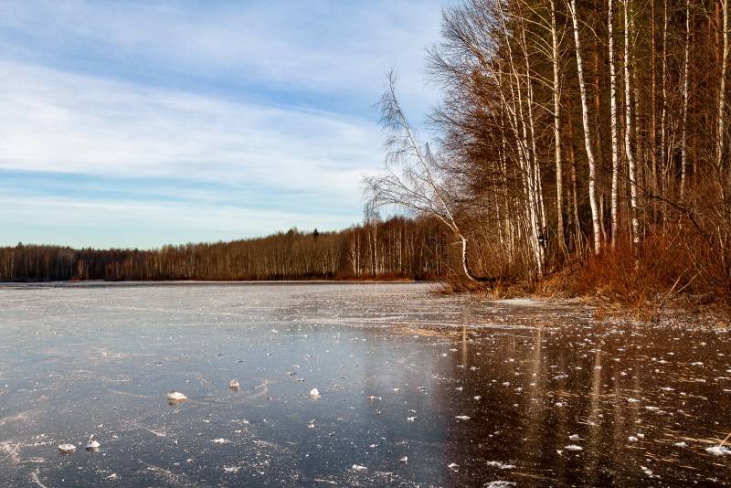 "Безопасная вода": насколько хорошо вы осведомлены о безопасности на открытой воде