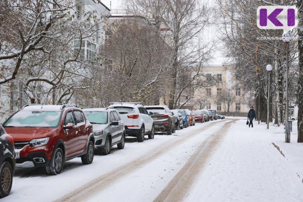 Погода в Коми 19 ноября: небольшой снег, на крайнем северо-востоке до -25°С