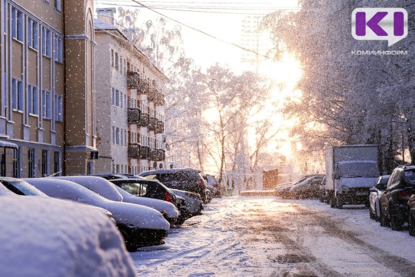 Погода в Коми 23 ноября: умеренный снег, ветер, -10...-12°С