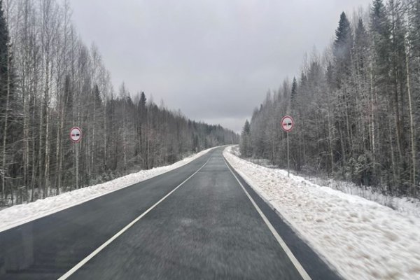 На дорогах Коми завершены работы по укладке асфальта

