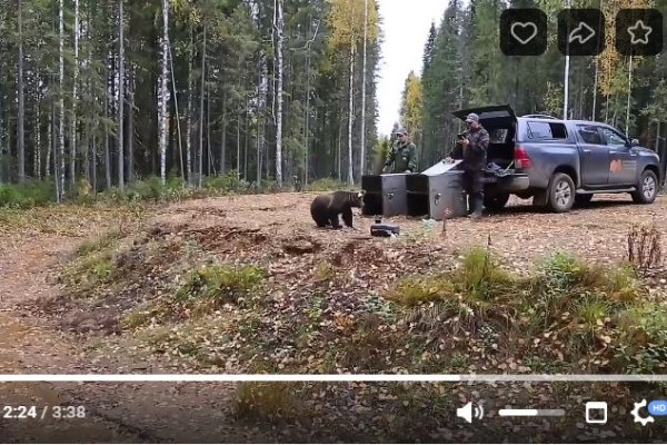 Появилось видео возвращения Ворчуна и Толстуна в Коми 