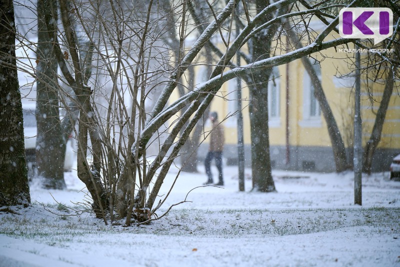 Погода в Коми 29 ноября: умеренный снег и -5°С