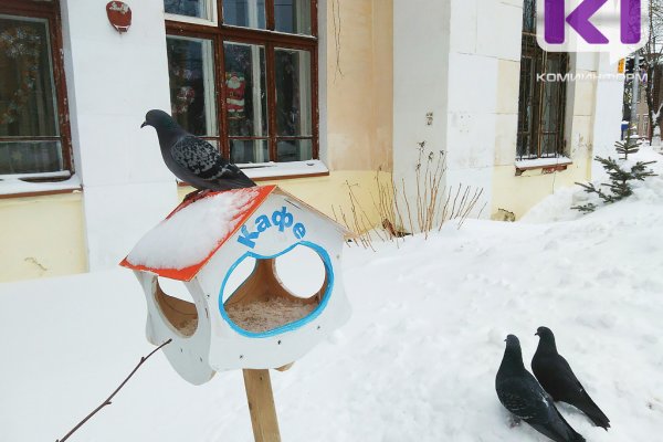 Погода в Коми 30 ноября: небольшой снег,  -6...-8°С