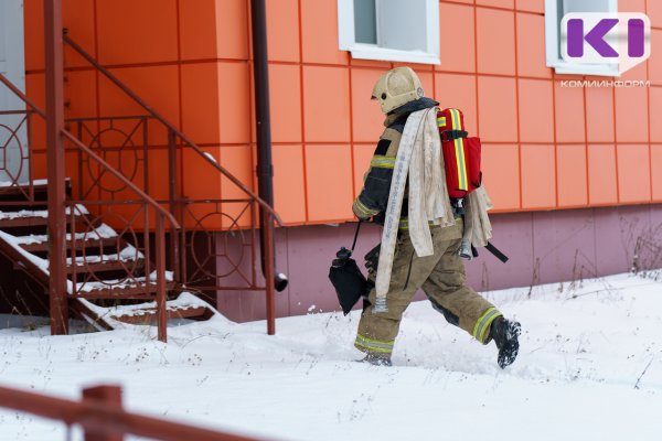 В Сыктывкаре на пожаре спасли 15 человек, в том числе четверых детей и собаку
