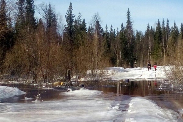 В Печоре вынесен приговор по уголовному делу о гибели семи работников в гусеничном транспортере