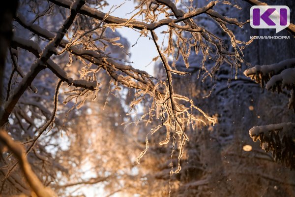 Погода в Коми 17 декабря: порывистый южный ветер, гололед, -10...-15°С
