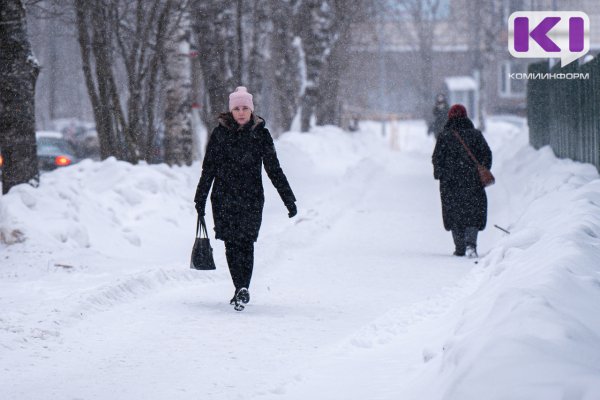 Погода в Коми 19 декабря: юго-западный ветер и -4°С