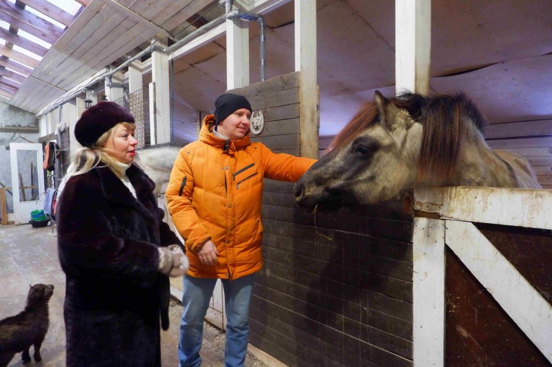 В Республике Коми за счет грантовых средств проводят адаптивные занятия по верховой езде для детей