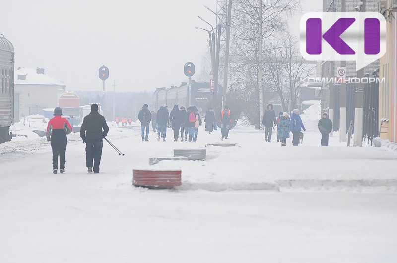 Жителей Коми спросят о доходах и участии в социальных программах