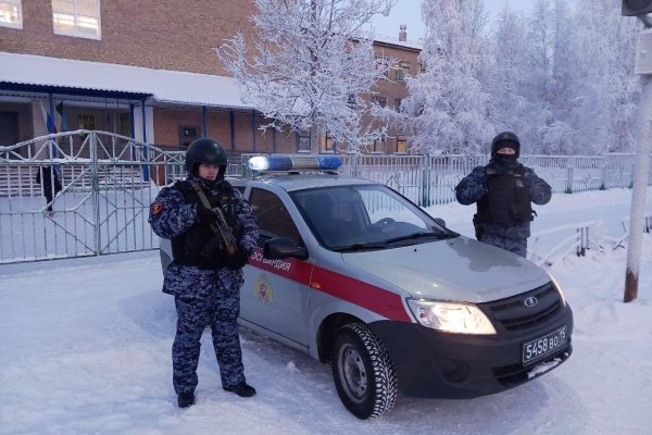 В печорской школе росгвардейцы задержали нетрезвого мужчину