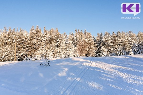 В Сыктывкаре продлили сроки сбора заявок на благоустройство по программе ФКГС