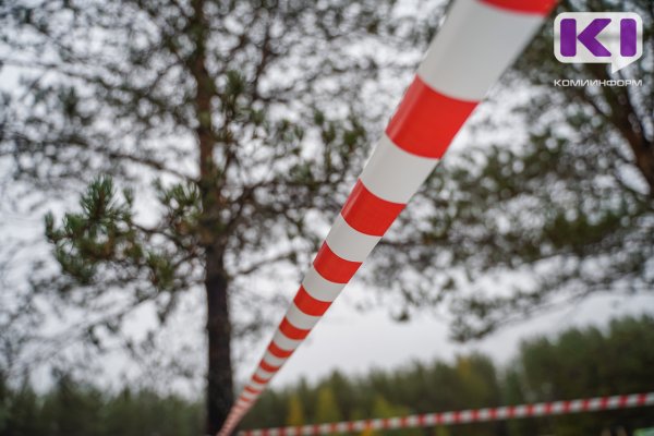 В Сыктывкаре эвакуировали сразу две школы 