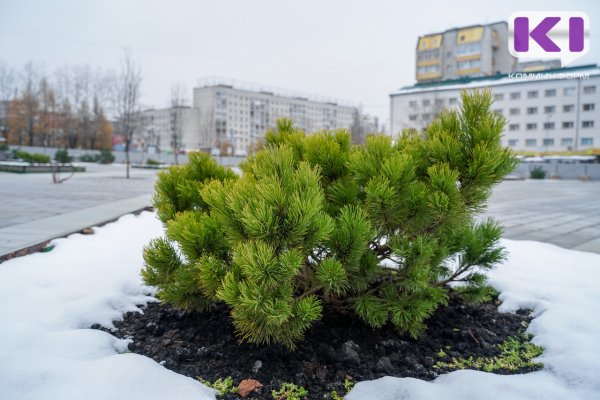 В Сыктывкаре стартовали общественные обсуждения по программе ФКГС на 2025 год