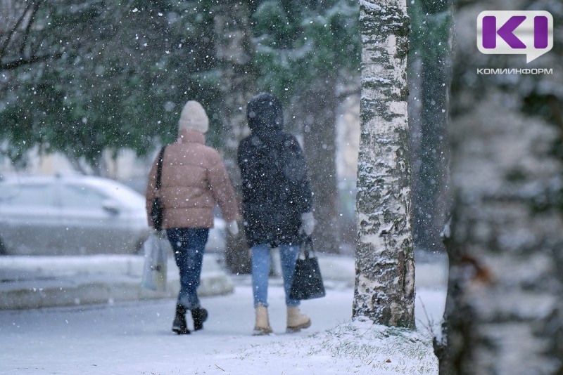 Погода в Коми 20 января: порывистый ветер, -7...-12°С