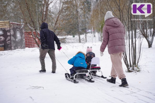 Погода в Коми 21 января: небольшой снег, температура ночью и днем -12...-17