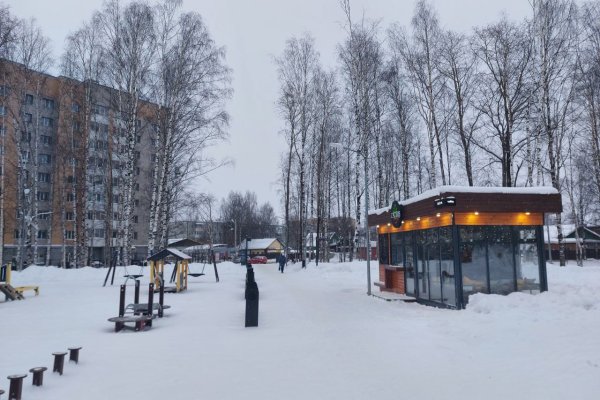 В Сыктывкаре дооснастят парк 