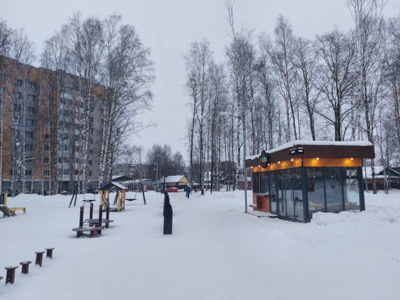 В Сыктывкаре дооснастят парк "Строитель"