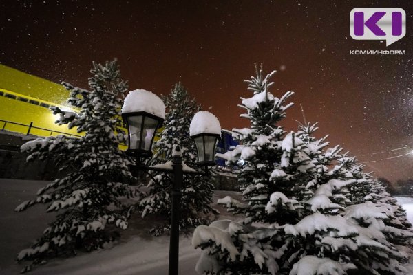 Погода в Коми 27 января: -10°С, небольшой снег