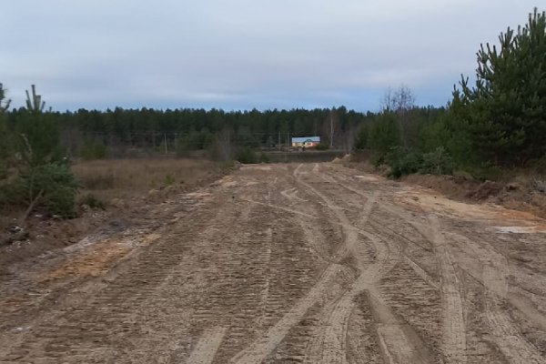 Вокруг Мадмаса при поддержке Жешартского ЛПК обустраивается минерализованная полоса