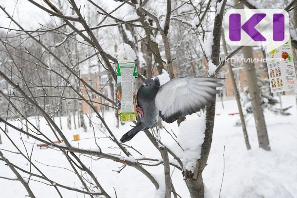 Погода в Коми 11 февраля: похолодает, местами до -28°С