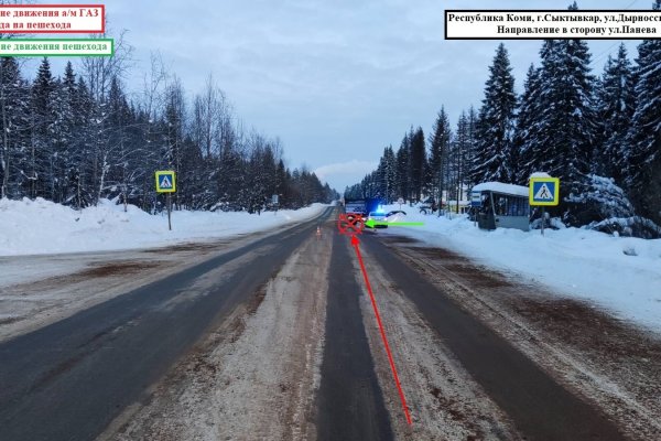 На дорогах Сыктывкара два беспечных пешехода попали под колеса авто