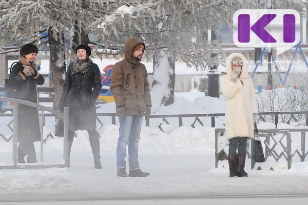 Погода в Коми 14 февраля: северный ветер, ночью -33...-38°С